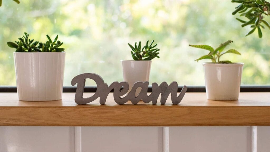 viveros panama, plantas, acarreos, delivery, accesorios para jardin