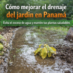 viveros panama, plantas, acarreos, delivery, accesorios para jardin