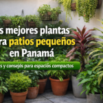 viveros panama, plantas, acarreos, delivery, accesorios para jardin