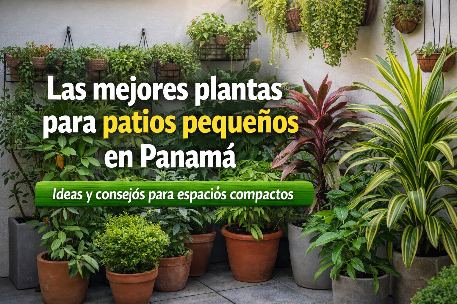 viveros panama, plantas, acarreos, delivery, accesorios para jardin