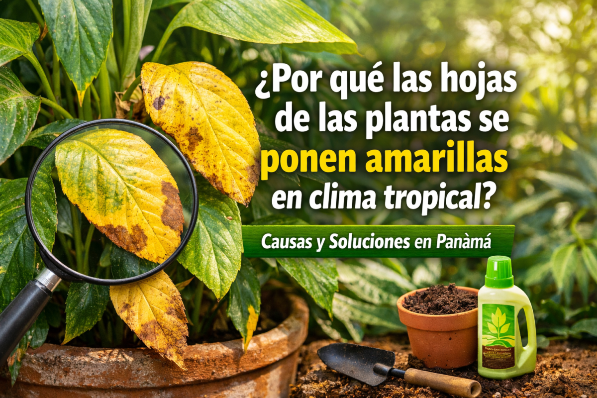 viveros panama, plantas, acarreos, delivery, accesorios para jardin